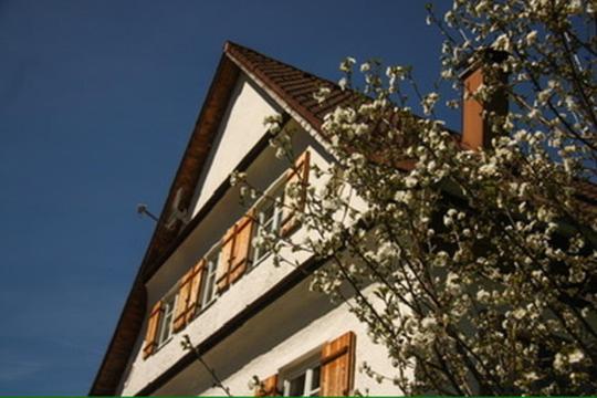 Haus Oyben Lejlighed Bad Hindelang Eksteriør billede
